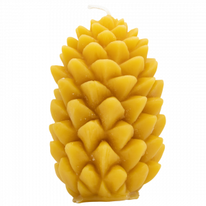 Candle, Pinecone